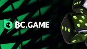 Experience the Thrill of BC.Game Casino A Comprehensive Guide
